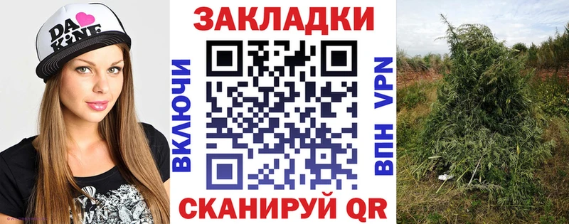 Цена Балей COCAIN  Alpha PVP  Канабис  Меф 