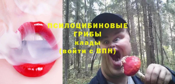 ALPHA-PVP Аркадак