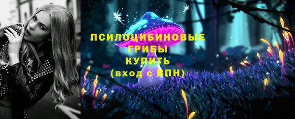 дмт Балабаново