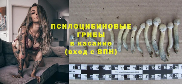 дживик Армянск