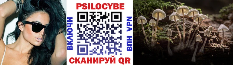 где купить наркотик  Балей  Псилоцибиновые грибы Cubensis 